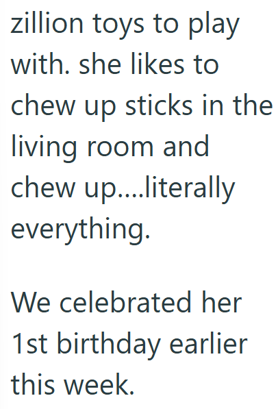 zillion toys to play with. she likes to chew up sticks in the living room and chew up....literally everything. We celebrated her 1st birthday earlier this week.