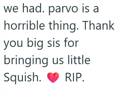 we had. parvo is a horrible thing. Thank you big sis for bringing us little Squish. RIP.