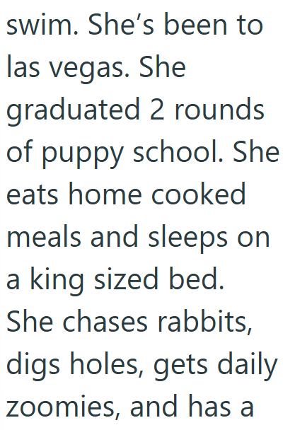 swim. She's been to las vegas. She graduated 2 rounds of puppy school. She eats home cooked meals and sleeps on a king sized bed. She chases rabbits, digs holes, gets daily zoomies, and has a