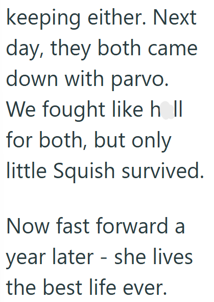 keeping either. Next day, they both came down with parvo. We fought like holl for both, but only little Squish survived. Now fast forward a year later - she lives the best life ever.