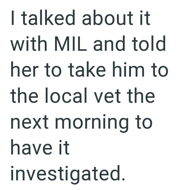 I talked about it with MIL and told her to take him to the local vet the next morning to have it investigated.