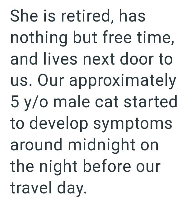 She is retired, has nothing but free time, and lives next door to us. Our approximately 5 y/o male cat started to develop symptoms around midnight on the night before our travel day.