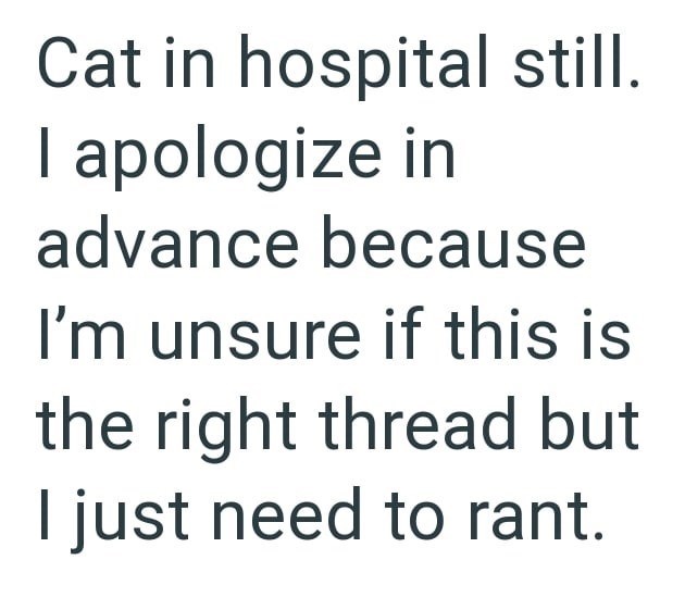 Cat in hospital still. I apologize in advance because I'm unsure if this is the right thread but I just need to rant.