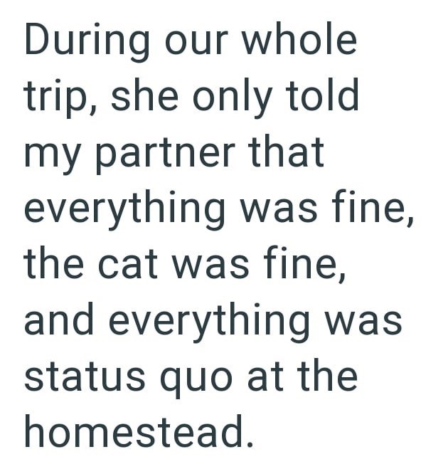 During our whole trip, she only told my partner that everything was fine, the cat was fine, and everything was status quo at the homestead.