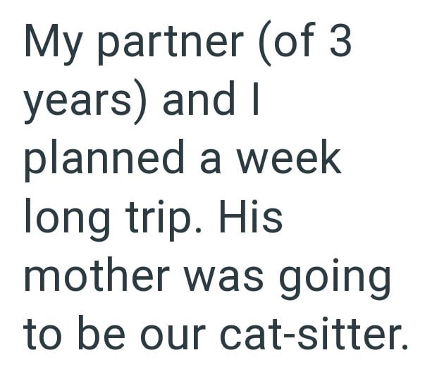 My partner (of 3 years) and I planned a week long trip. His mother was going to be our cat-sitter.