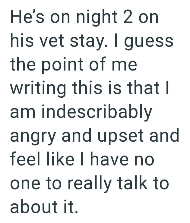 He's on night 2 on his vet stay. I guess the point of me writing this is that I am indescribably angry and upset and feel like I have no one to really talk to about it.