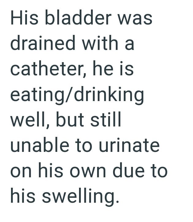 His bladder was drained with a catheter, he is eating/drinking well, but still unable to urinate on his own due to his swelling.