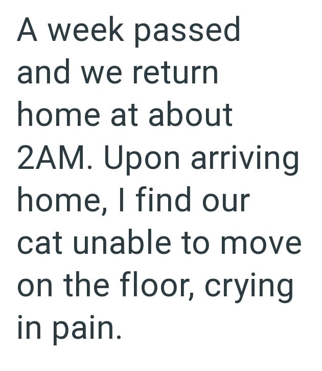 A week passed and we return home at about 2AM. Upon arriving home, I find our cat unable to move on the floor, crying in pain.