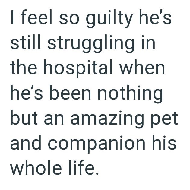 feel so guilty he's still struggling in the hospital when he's been nothing but an amazing pet and companion his whole life.