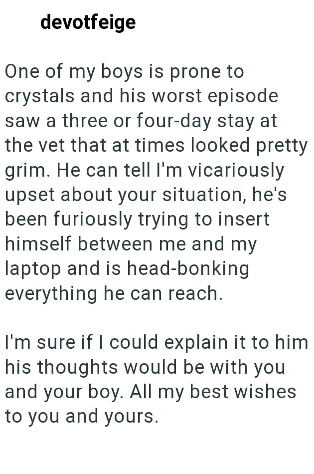 devotfeige One of my boys is prone to crystals and his worst episode saw a three or four-day stay at the vet that at times looked pretty grim. He can tell I'm vicariously upset about your situation, he's been furiously trying to insert himself between me and my laptop and is head-bonking everything he can reach. I'm sure if I could explain it to him his thoughts would be with you and your boy. All my best wishes to you and yours.