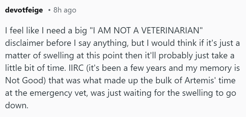 devotfeige ⚫8h ago I feel like I need a big "I AM NOT A VETERINARIAN" disclaimer before I say anything, but I would think if it's just a matter of swelling at this point then it'll probably just take a little bit of time. IIRC (it's been a few years and my memory is Not Good) that was what made up the bulk of Artemis' time at the emergency vet, was just waiting for the swelling to go down.