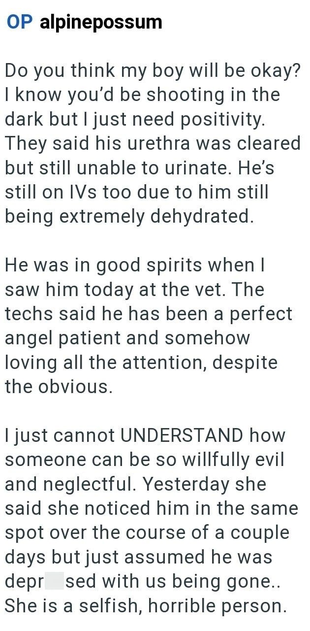 OP alpinepossum Do you think my boy will be okay? I know you'd be shooting in the dark but I just need positivity. They said his urethra was cleared but still unable to urinate. He's still on IVs too due to him still being extremely dehydrated. He was in good spirits when I saw him today at the vet. The techs said he has been a perfect angel patient and somehow loving all the attention, despite the obvious. I just cannot UNDERSTAND how someone can be so willfully evil and neglectful. Yesterday s