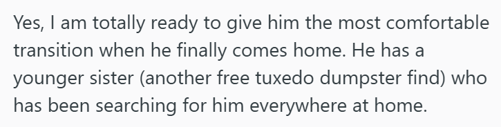 Yes, I am totally ready to give him the most comfortable transition when he finally comes home. He has a younger sister (another free tuxedo dumpster find) who has been searching for him everywhere at home.