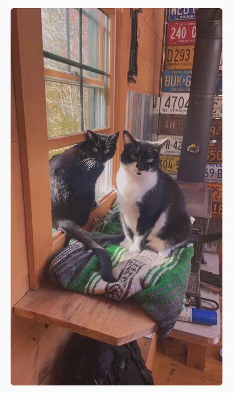 WED U 1, WOODBL 240 C LAND OF LINCE D293 SOUTH CAROL NEW JERS BUK 6 CARDCH SU 4704 SEE, VERMON XH-5 97 TENN R-42 COMMER MAINE 304-5 TRAILE COM RTH VIRO 94 1941 P 350 NEVA 69-B 05 ERCIA 16 INSA