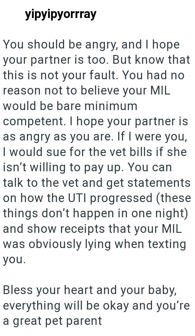 yipyipyorrray You should be angry, and I hope your partner is too. But know that this is not your fault. You had no reason not to believe your MIL would be bare minimum competent. I hope your partner is as angry as you are. If I were you, I would sue for the vet bills if she isn't willing to pay up. You can talk to the vet and get statements on how the UTI progressed (these things don't happen in one night) and show receipts that your MIL was obviously lying when texting you. Bless your heart an