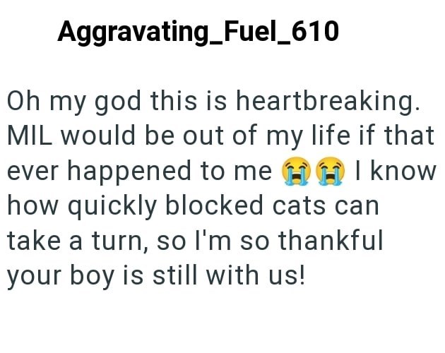 Aggravating_Fuel_610 Oh my god this is heartbreaking. MIL would be out of my life if that ever happened to me I know how quickly blocked cats can take a turn, so I'm so thankful your boy is still with us!