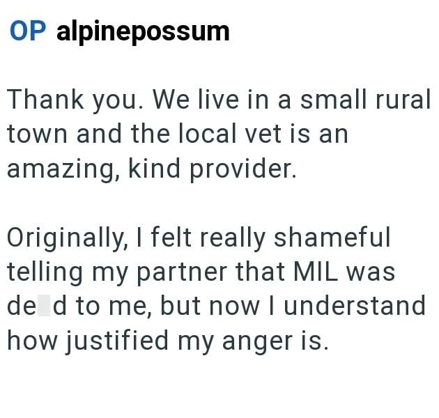OP alpinepossum Thank you. We live in a small rural town and the local vet is an amazing, kind provider. Originally, I felt really shameful telling my partner that MIL was de d to me, but now I understand how justified my anger is.