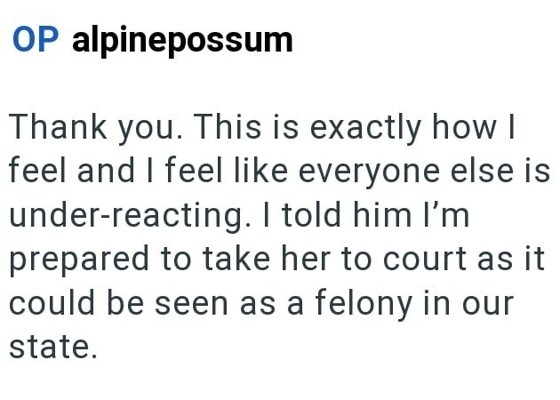 OP alpinepossum Thank you. This is exactly how I feel and I feel like everyone else is under-reacting. I told him I'm prepared to take her to court as it could be seen as a felony in our state.