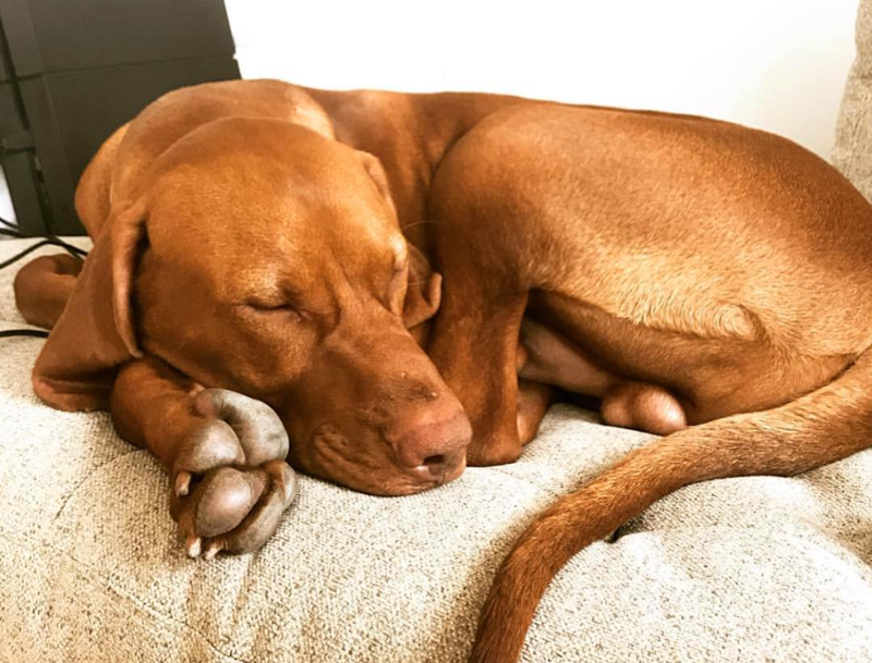 Cheezburger Image 10619899904