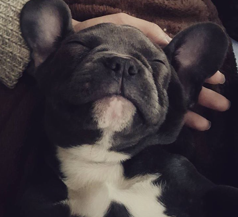 Cheezburger Image 10619901184