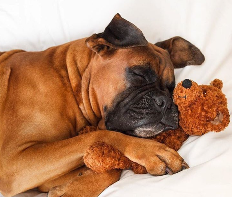 Cheezburger Image 10619901440