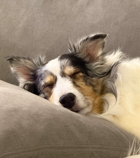 Cheezburger Image 10619904256