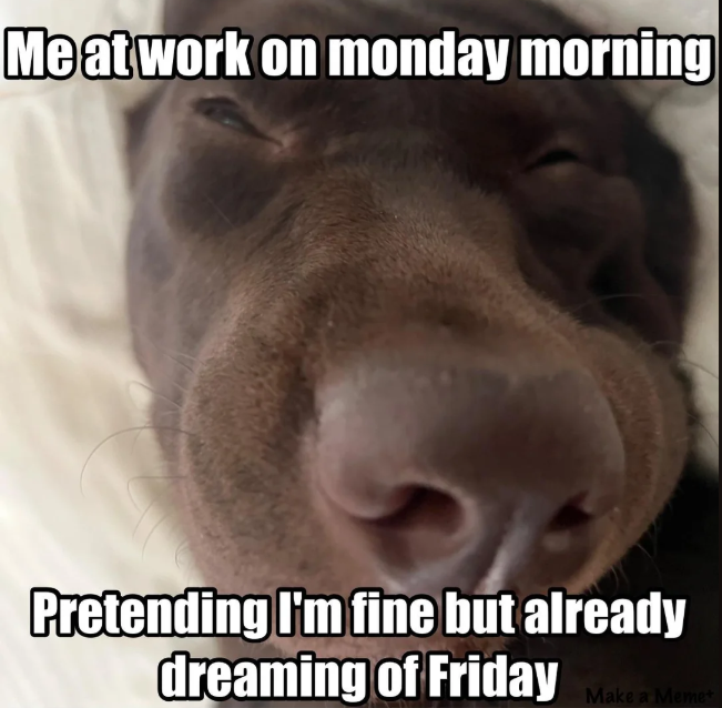 Meat work on monday morning Pretending I'm fine but already dreaming of Friday Make a Meme+