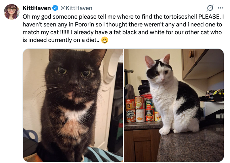 KittHaven @KittHaven ... Oh my god someone please tell me where to find the tortoiseshell PLEASE. I haven't seen any in Pororin so I thought there weren't any and i need one to match my cat!!!!!! I already have a fat black and white for our other cat who is indeed currently on a diet..