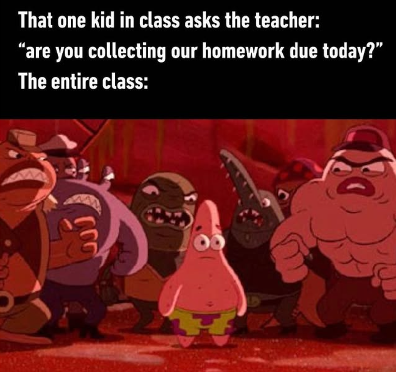 That one kid in class asks the teacher: “are you collecting our homework due today?” The entire class: