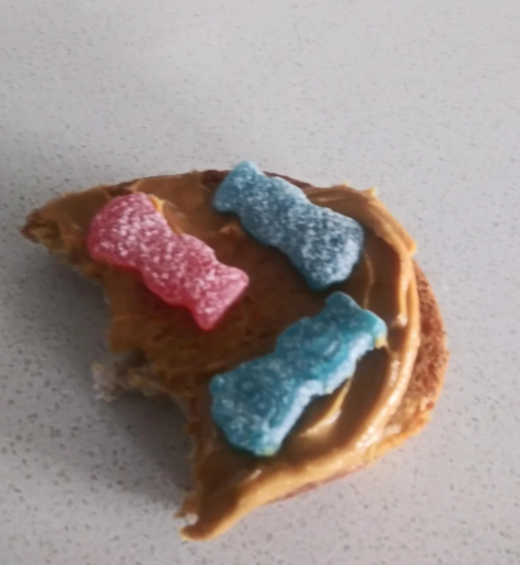 Cheezburger Image 10619921664