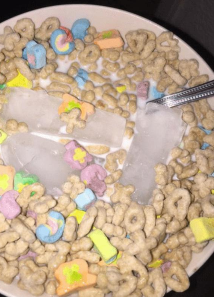 Cheezburger Image 10619922176