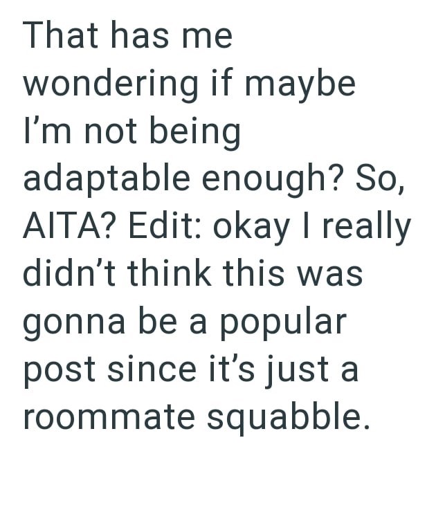 That has me wondering if maybe I'm not being adaptable enough? So, AITA? Edit: okay I really didn't think this was gonna be a popular post since it's just a roommate squabble.