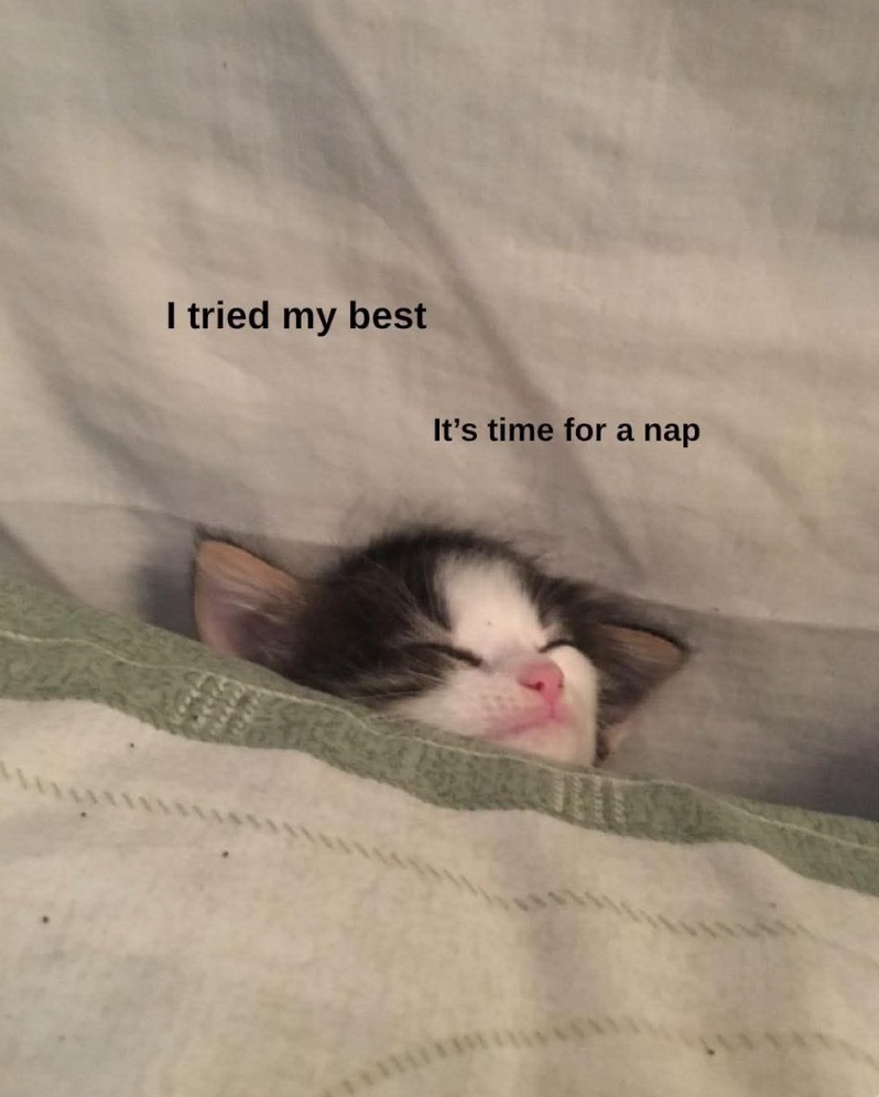 I tried my best It's time for a nap