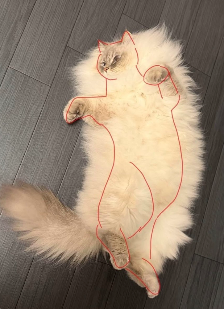 Cheezburger Image 10619937024