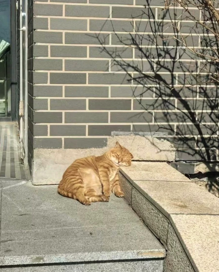 Cheezburger Image 10619937280