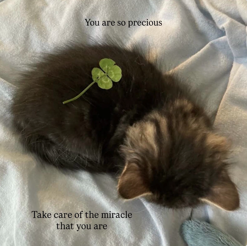 You are so precious Take care of the miracle that you are