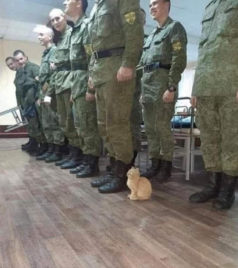 Cheezburger Image 10619938304