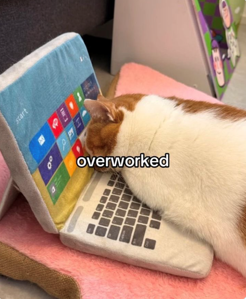 start MONE overworked