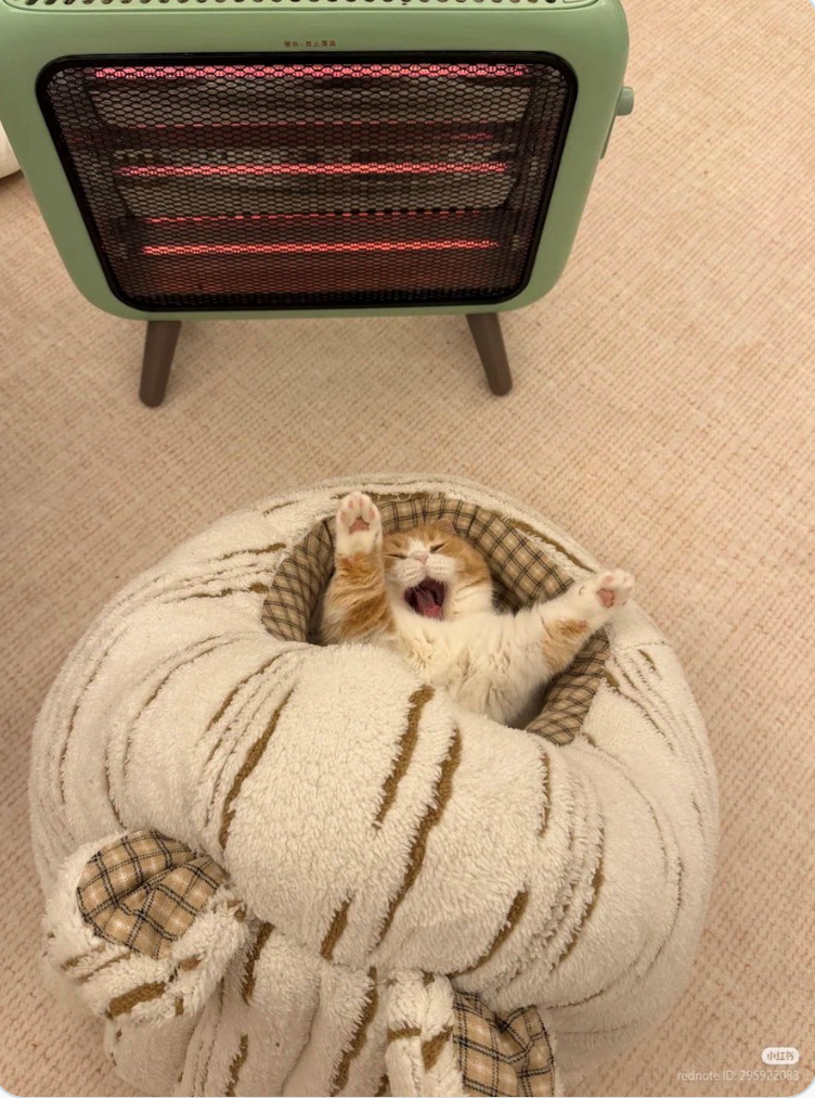 小红书 rednote ID: 295922083