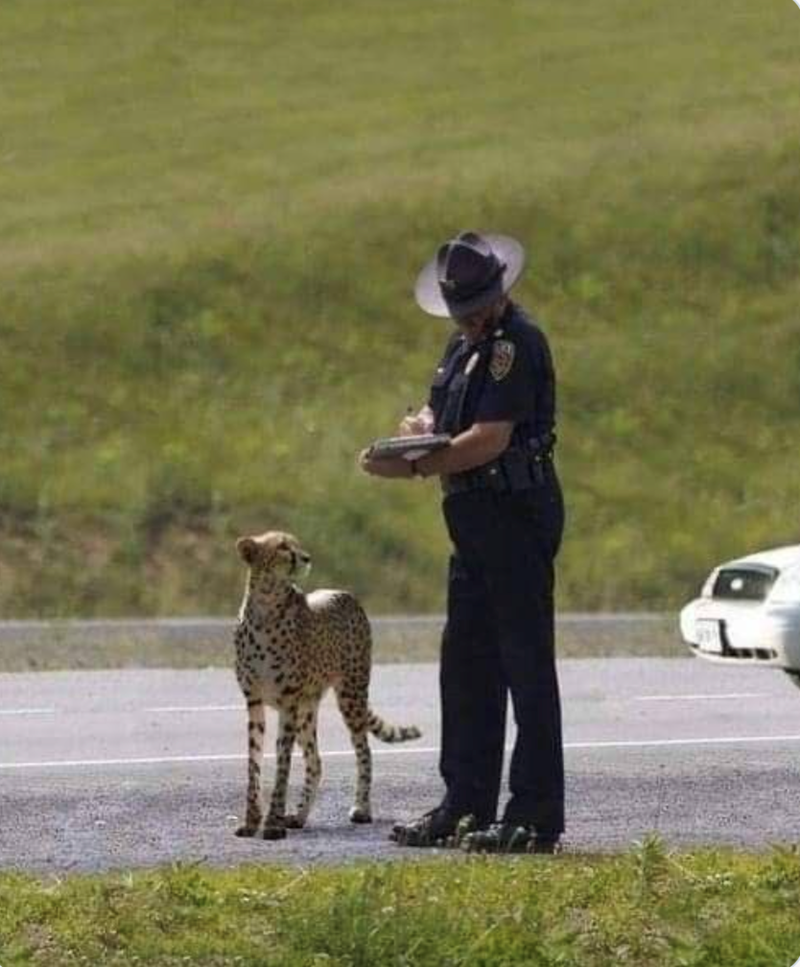 Cheezburger Image 10619942400