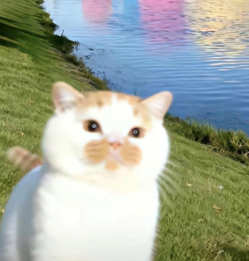 Cheezburger Image 10619942912