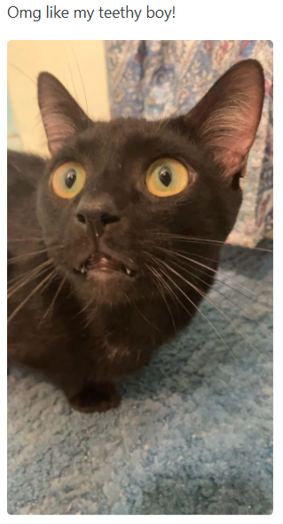 Omg like my teethy boy!