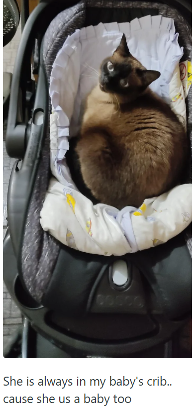 She is always in my baby's crib.. cause she us a baby too