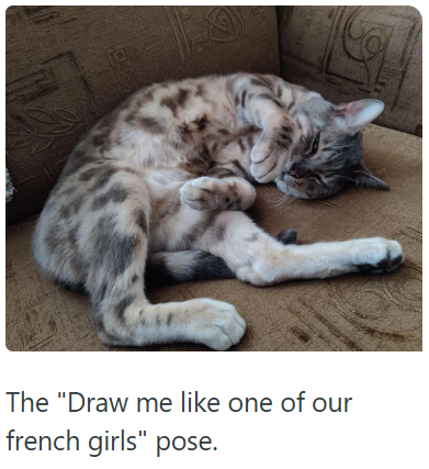 The "Draw me like one of our french girls" pose.