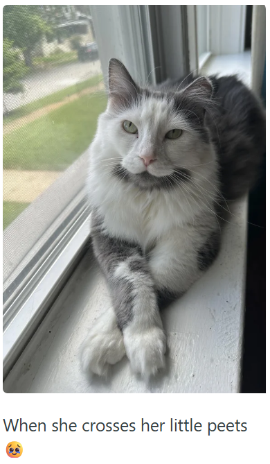 When she crosses her little peets