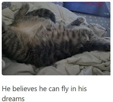 He believes he can fly in his dreams