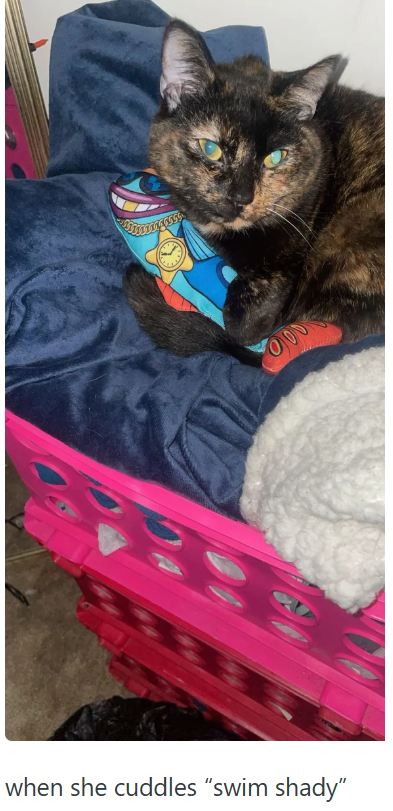 when she cuddles "swim shady" FOOD