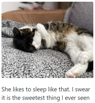 She likes to sleep like that. I swear it is the sweetest thing I ever seen