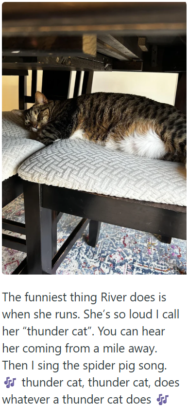 The funniest thing River does is when she runs. She's so loud I call her "thunder cat". You can hear her coming from a mile away. Then I sing the spider pig song. thunder cat, thunder cat, does whatever a thunder cat does J