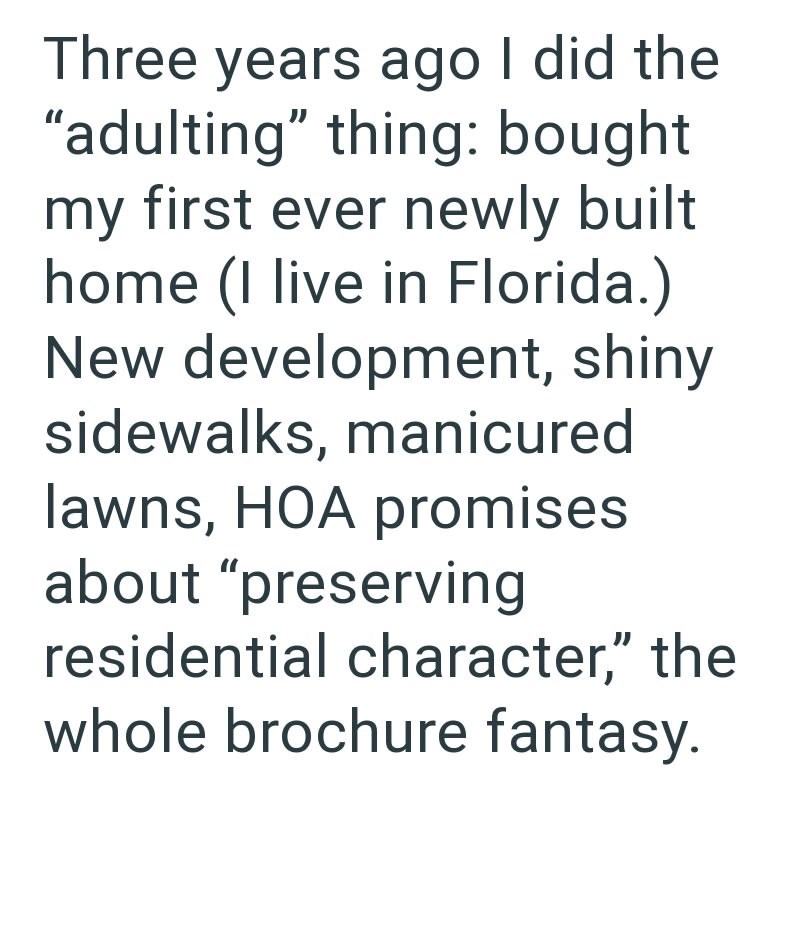 Three years ago I did the "adulting" thing: bought my first ever newly built home (I live in Florida.) New development, shiny sidewalks, manicured lawns, HOA promises about "preserving residential character," the whole brochure fantasy.